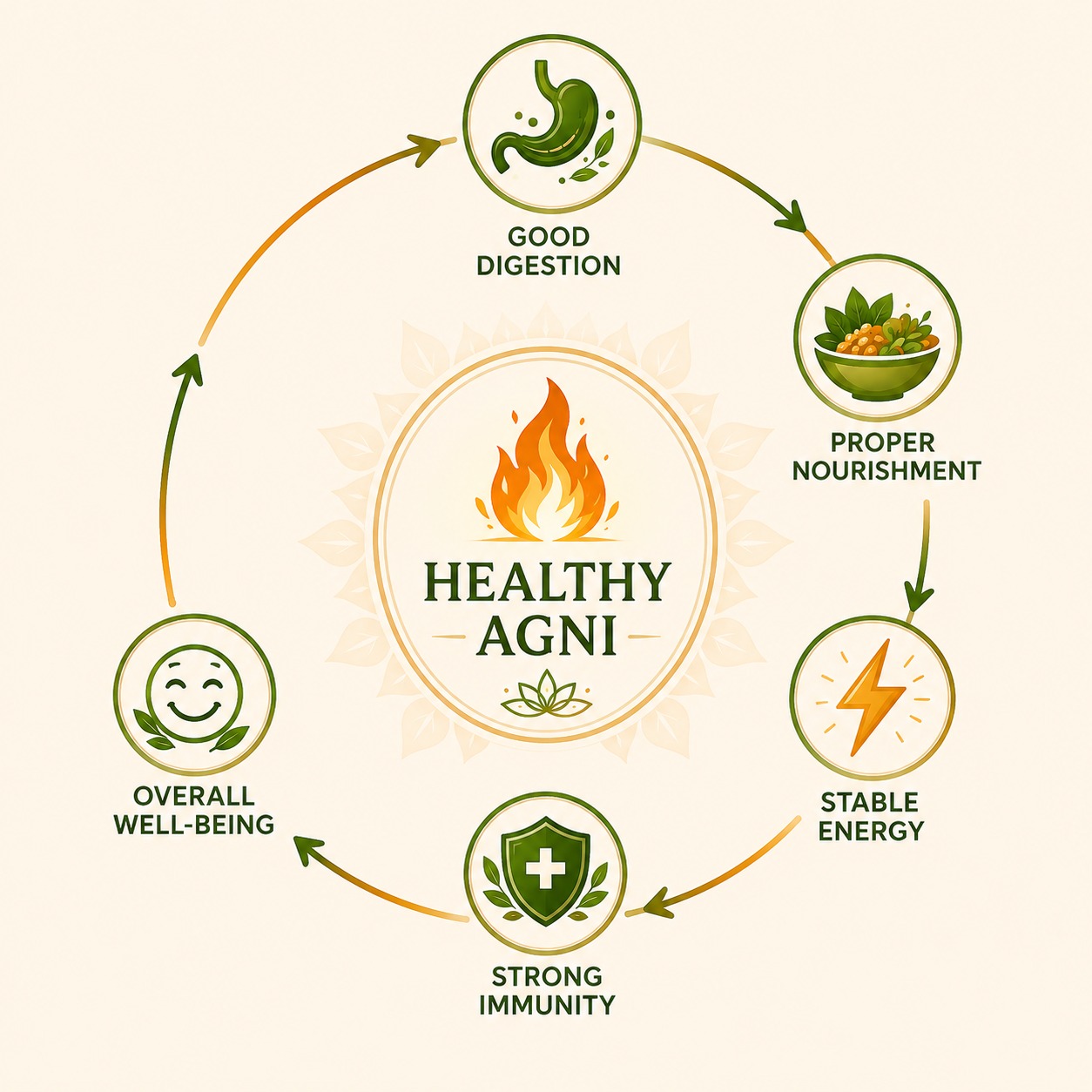 Healthy Agni cycle showing digestion, nourishment, energy, immunity and overall well-being in Ayurveda