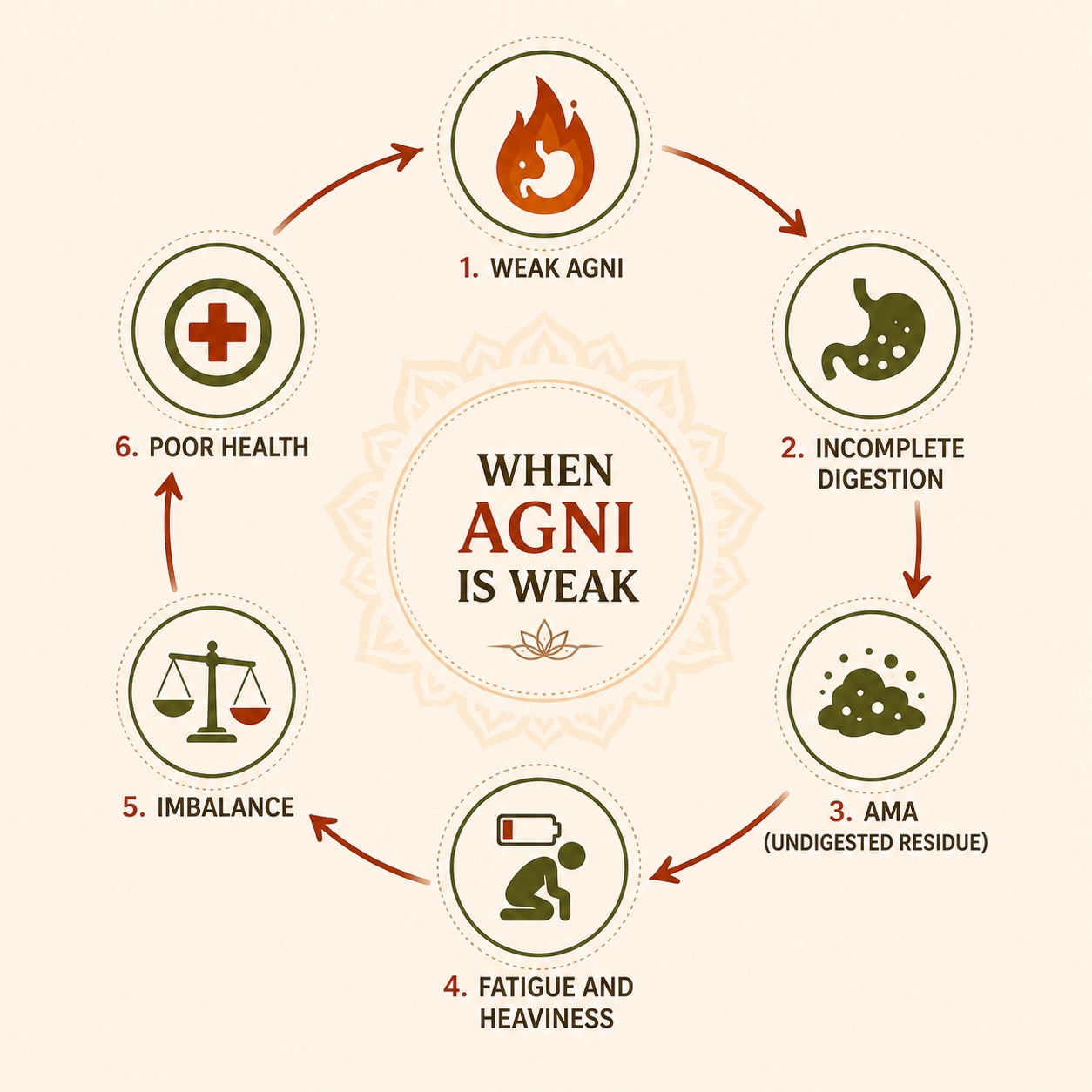 Weak Agni cycle showing incomplete digestion, Ama formation, fatigue, imbalance and poor health in Ayurveda
